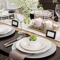 Bulk Silver Plastic Charger Plates With Beaded Rims 13 In Dollar Tree