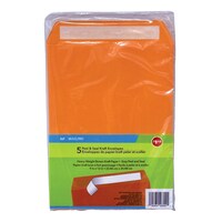 Peel & Seal Kraft Paper Envelope, 5-Piece Pack — Dollar Tree