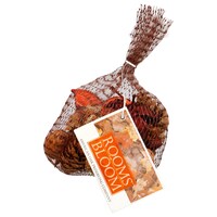 Rooms in Bloom Pumpkin Scented Mini Pinecone Potpourri — Dollar Tree