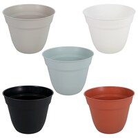 Flare Top Plastic Planter, 1-Count. — Dollar Tree