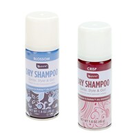 B.Color Scented Dry Shampoo Spray, 1.6 oz. — Dollar Tree