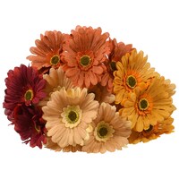 Floral Garden Assorted 5-Stem Burlap Gerbera Daisy Bushes, 13 in. — Dollar Tree