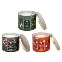 Fall-themed Scented Candle, Assorted Scents — Dollar Tree