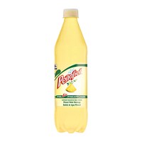 Penafiel Pinada Mineral Water, 1-Count. — Dollar Tree