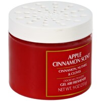 Rejoice Gel Air Freshener - Apple Cinnamon, 9 oz. — Dollar Tree