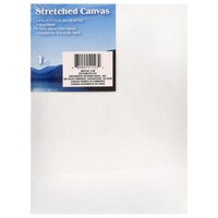 White Stretched Canvases, 6x8 in. — Dollar Tree