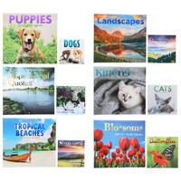 2024 Foil Calendar with Mini, 12x11-in. — Dollar Tree penny item