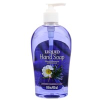 Lavender & Chamomile Liquid Hand Soap, 14-oz. Dispensers — Dollar Tree penny item