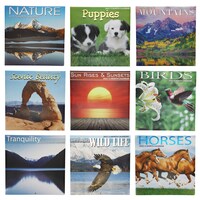 2023 Nature-Themed Wall Calendars, 12x12-in. — Dollar Tree (SKU 349377)