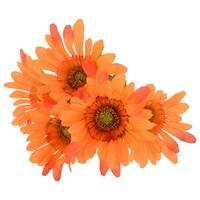 Floral Garden Orange Gerbera Daisy Bushes, 13 in. — Dollar Tree