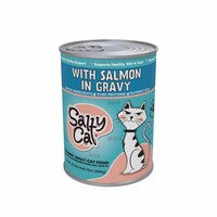 Salty Cat Gourmet Adult Wet Cat Food with Salmon in Gravy, 13 oz. — Dollar Tree
