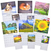 Jot Illustrated 2018 Wall Calendars with Matching Mini Calendars — Dollar Tree (SKU 258337)
