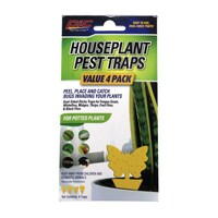 Pic Houseplant Pest Trap, 4-Piece Pack — Dollar Tree
