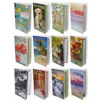 2-Year Pocket Planner, 2021-2022 — Dollar Tree penny item