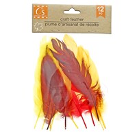 Crafter's Square Decorative Harvest Feathers, 12-ct. Packs — Dollar Tree (SKU 332458)