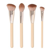 Sassy + Chic Makeup Brush, Assorted Brush Styles — Dollar Tree