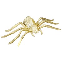 Plastic Spider Skeletons, 5x8.625 in. — Dollar Tree (SKU 275787)