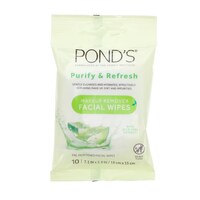 Pond's Makeup Remover Facial Wipes, 10-Count. — Dollar Tree