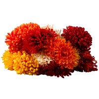 Floral Garden 5-Stem Assorted Mum Bushes, 14 in. — Dollar Tree