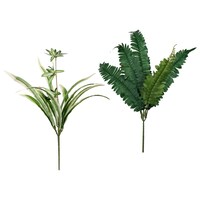 Floral Garden Fern and Spider Bushes, 13 in. — Dollar Tree
