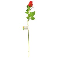 Floral Garden Long Stemmed Red Roses, 24.875 in. — Dollar Tree
