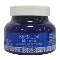 Bermuda Blue Citrus Gel Air Freshener, 1-Count. — Dollar Tree