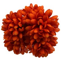 Floral Garden 5-Stem Orange Mum Flowers, 14 in. — Dollar Tree