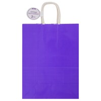 Voila Bright Purple Glossy Medium Gift Bags, 2-Count. Packs — Dollar Tree