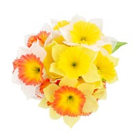 Floral Garden 6-Stem Faux Daffodil Bushes, 13x7.75 in. — Dollar Tree