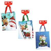 Christmas House Medium Elegant Holiday Gift Bags, 2-Count. Packs — Dollar Tree