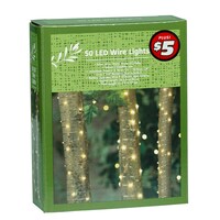 50 LED Wire String Lights, 17.3-ft. — Dollar Tree