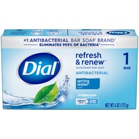 Dial Refresh And Renew Spring Water Scented Deodorant Bar Soap — Dollar Tree