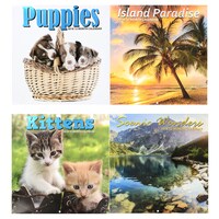 Jot 2018 Illustrated Foil Wall Calendars — Dollar Tree (SKU 258334)