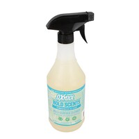 Oxydol Scented Multi-surface Cleaner, 1-Count. — Dollar Tree