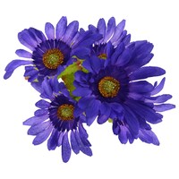 Floral Garden Violet Gerbera Daisy Bushes, 13 in. — Dollar Tree