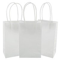 Voila Small White Kraft Paper Gift Bags, 3-Count. Packs — Dollar Tree
