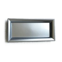 Silver Rectangular Plastic Charger Trays, 14.25x6.75x1 in. — Dollar Tree