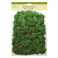 Floral Garden Reindeer Moss, 24-cu-in. — Dollar Tree