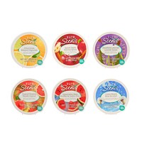 Sure Scents Absorbing Solid Gel Air Fresheners, 6 oz. — Dollar Tree