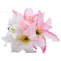 Floral Garden Faux Lilly Bushes, 14 in. — Dollar Tree