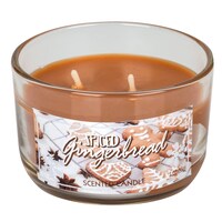 Spiced Gingerbread Scented Glass Jar Candles, 3 oz. — Dollar Tree (SKU 260422)