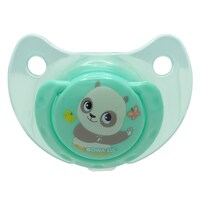 Smart Care Baby Pacifier — Dollar Tree