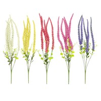Floral Garden Colored Amaranthus Bushes, 14 in. — Dollar Tree