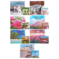 2021 Foil Calendars with Mini Calendars, 2-ct. Packs — Dollar Tree (SKU 306586)