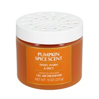 Pumpkin Spice Scent Gel Air Freshener, 1-Count. — Dollar Tree