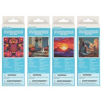 Crafters Square Gem Canvas Painting Kit, Assorted Designs. — Dollar Tree