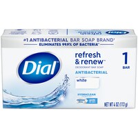 Dial Refresh And Renew Deodorant Bar Soap — Dollar Tree