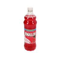 Pinalen Floral Delight Mulipurpose Cleaner 28 oz., 1 Count. — Dollar Tree