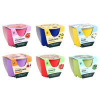 Buzzy Grow Your Own Plant Kit, 1-Count. — Dollar Tree