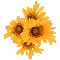 Floral Garden Yellow Gerbera Daisy Bushes, 13 in. — Dollar Tree